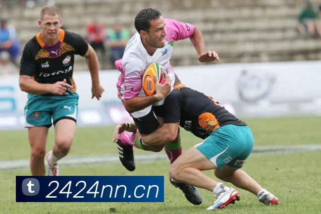 App Interface Preview